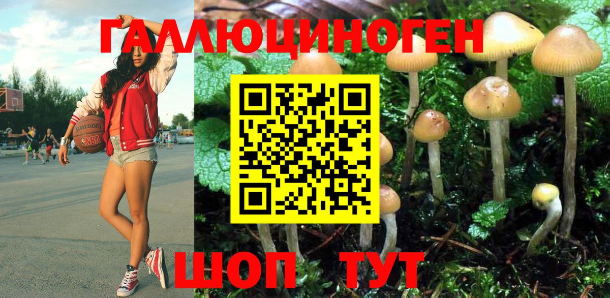 Галлюциногенные грибы Psilocybine cubensis  Вход с VPN  Балашиха  Псилоцибиновые грибы прущие грибы 